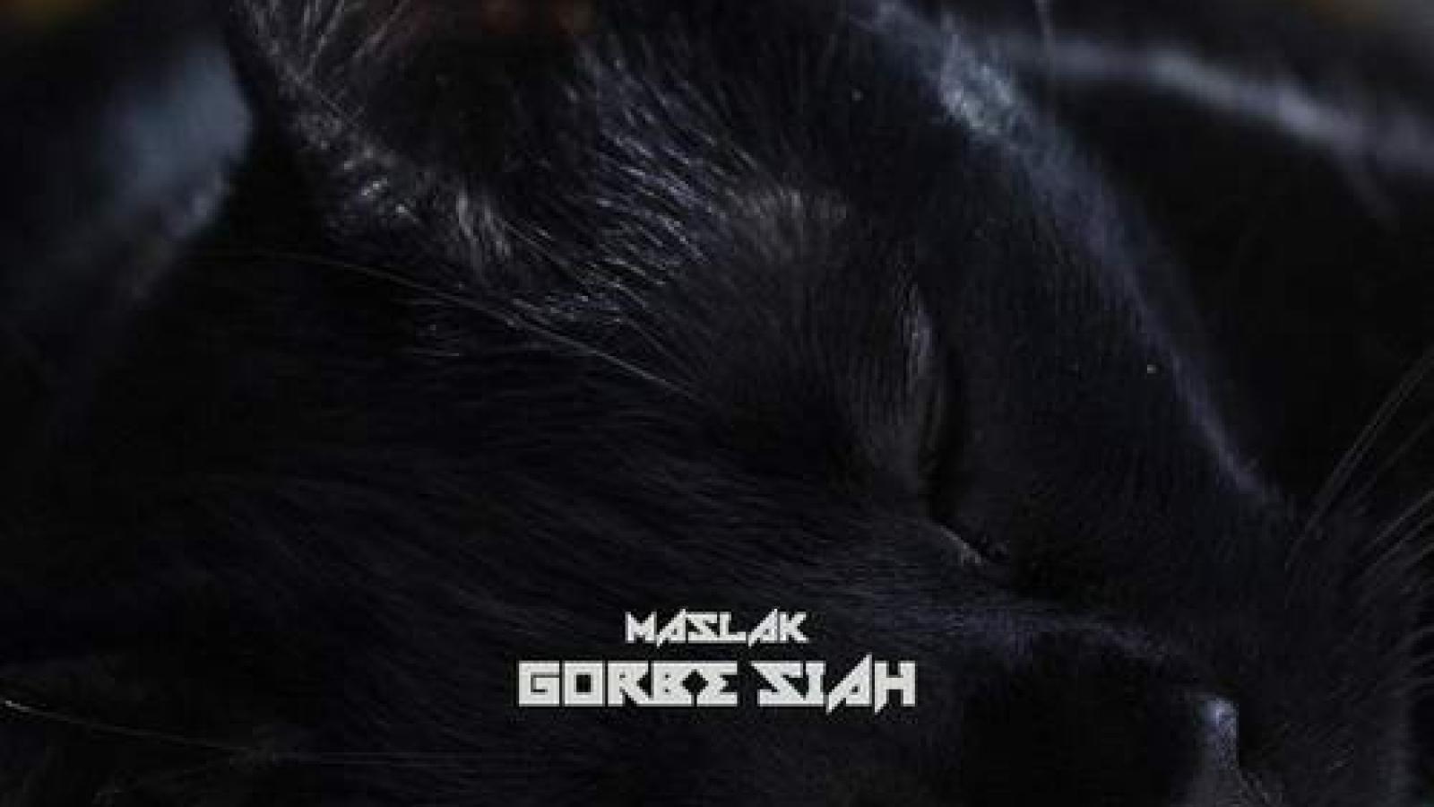 دانلود آهنگ مسلک گربه سیاه / جا زوزه گرگ ها میشنوی زوزه آدم خیابون نی خونه خالت