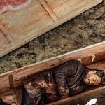 دانلود آهنگ محسن چاوشی زخم کاری / اومدم مثل یه ببر کینه توز حقمو بگیرمو ….