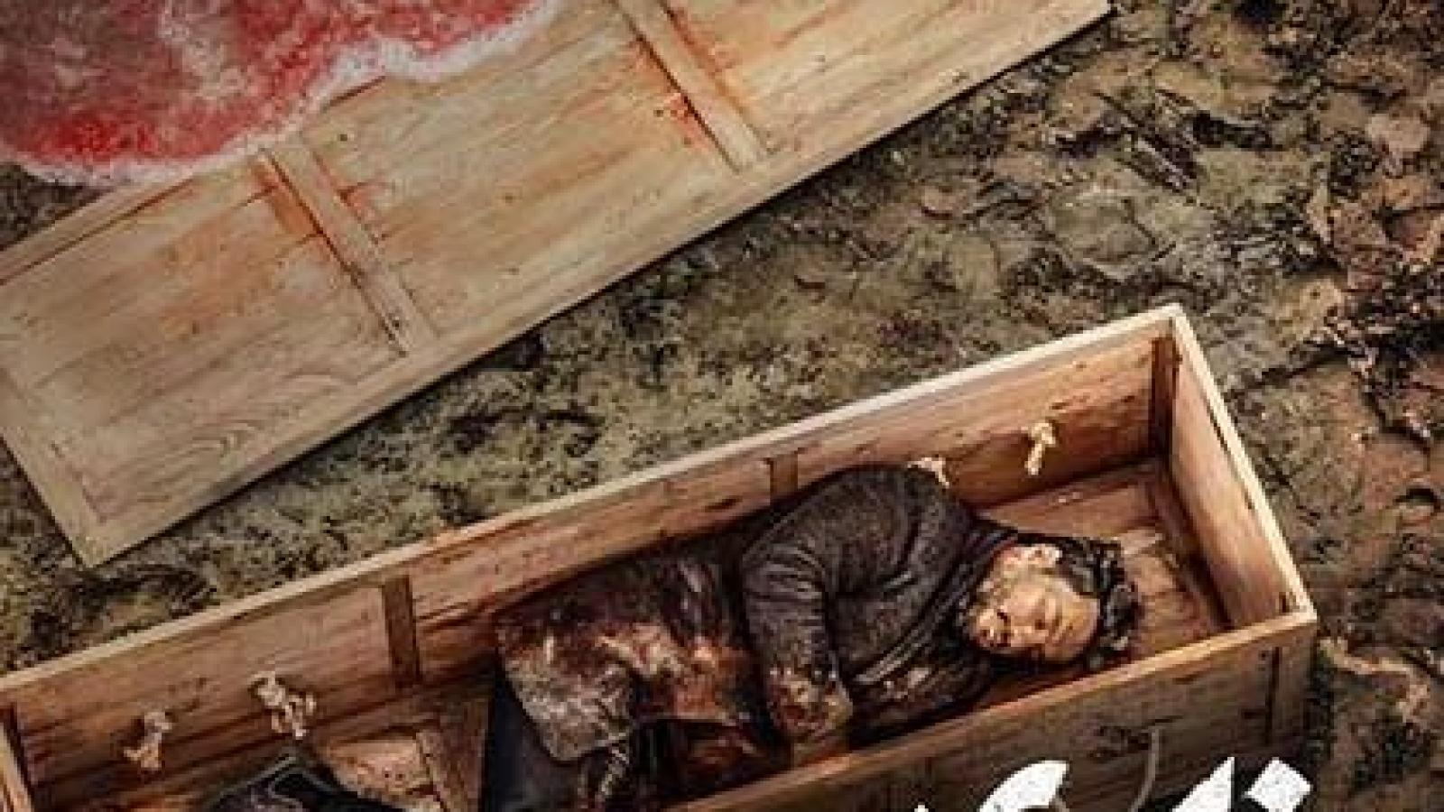 دانلود آهنگ محسن چاوشی زخم کاری / اومدم مثل یه ببر کینه توز حقمو بگیرمو ....