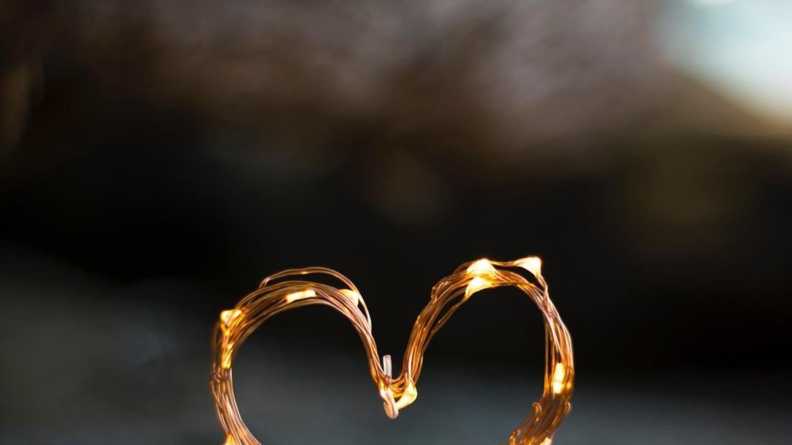  دانلود آهنگ سحر دل / تو که خوب دل میبری همه دنیای منی