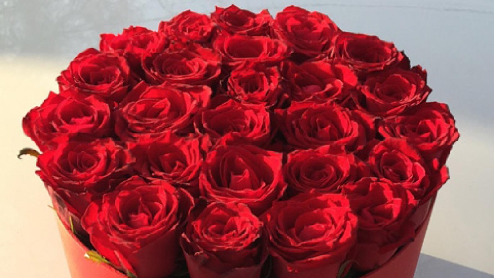 دانلود آهنگ سحر حیف / بس کُن دیگه جایی نداری تو قلبم آره میکشم حستو کم کم