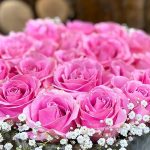 دانلود آهنگ شکیلا پیری فرزانه / به کام و آرزوی دل، چون دارم خلوتی حاصل