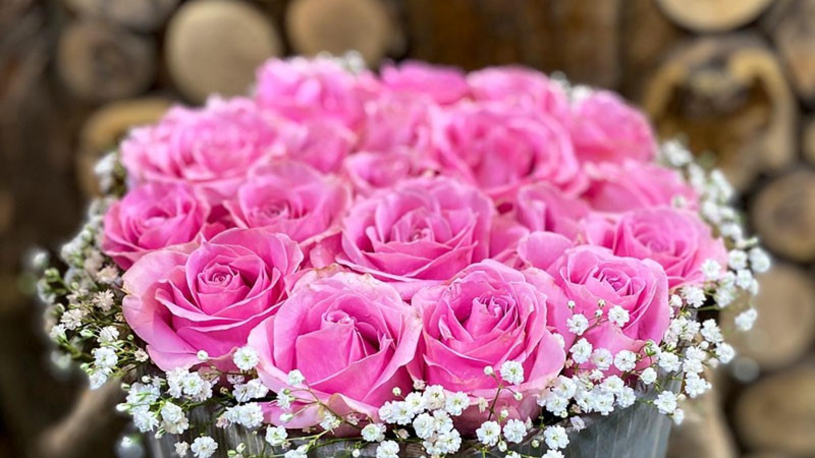 دانلود آهنگ شکیلا در این دنیا تک و تنها شدم