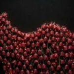 دانلود آهنگ شروین حاجی پور ایرانم / زخم بازمو محکم فشار بده تو خسته میشیو من جا نمیزنم