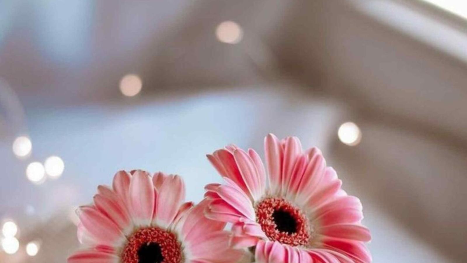 دانلود آهنگ سیمین غانم قفس باران / نمیترسم از هوا که عشق تو چتر منه