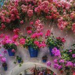 دانلود آهنگ دلکش جهان زیبا / غم دنیا بر دنیا دار ارزانی که نیارد بر دلها چز ویرانی