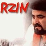 دانلود آهنگ فرزین برگ زرد / برگه بی درخت و بی باغ یه تنه محکوم به مرگه