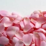 دانلود آهنگ شیلا ذره ذره / چه شبهایی که بیخواب تو بودم چه روزایی که بیتاب تو بودم