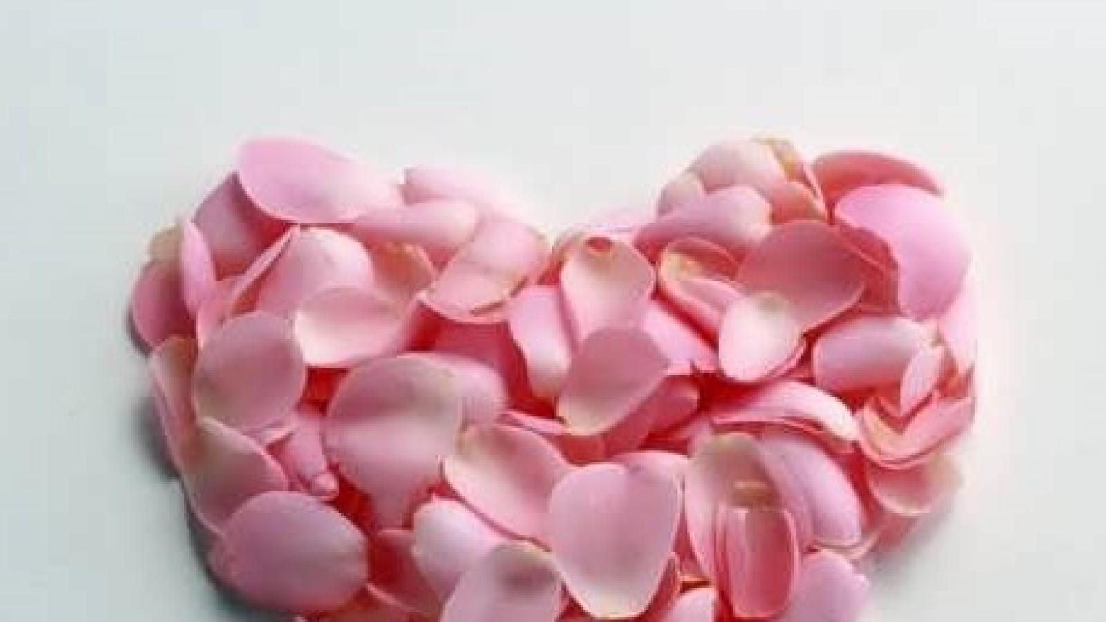 دانلود آهنگ شیلا ذره ذره / چه شبهایی که بیخواب تو بودم چه روزایی که بیتاب تو بودم