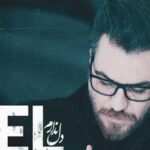 دانلود آهنگ گرشا رضایی دل ندارم / دل ندارم که بمونی دل ندارم که بری دل ندادم …