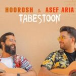 دانلود آهنگ آصف آریا تابستون / چه عشقی کنیم این تابستون اینجا اونجا مهمون