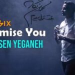 دانلود آهنگ محسن یگانه بهت قول میدم (ریمیکس)