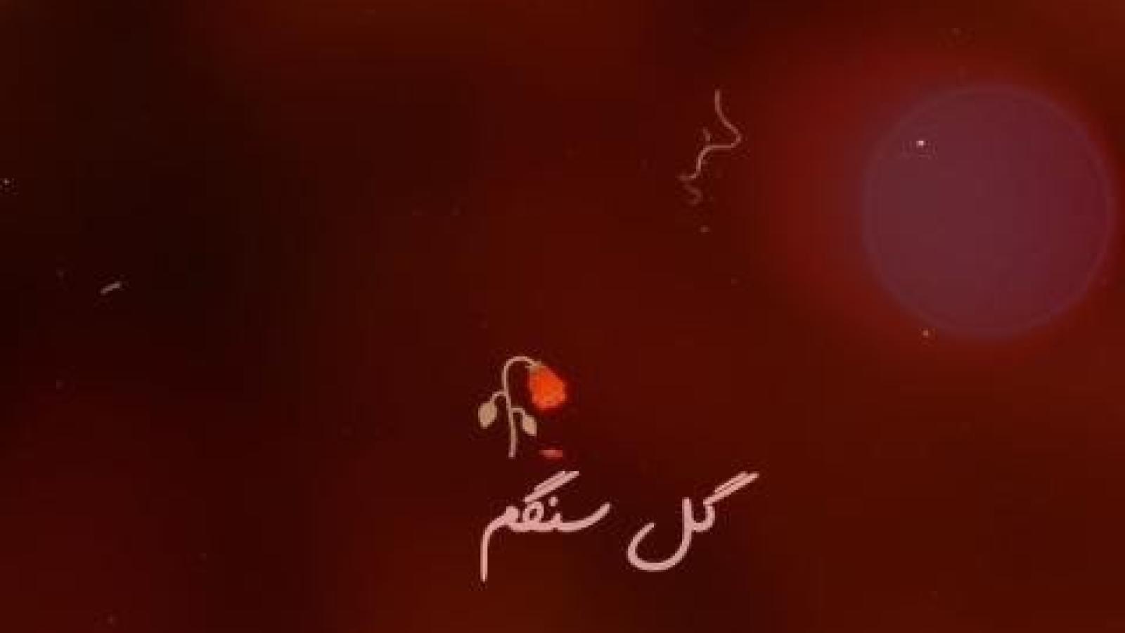 دانلود آهنگ هایده گل سنگ گل سنگم چی بگم از دل تنگم