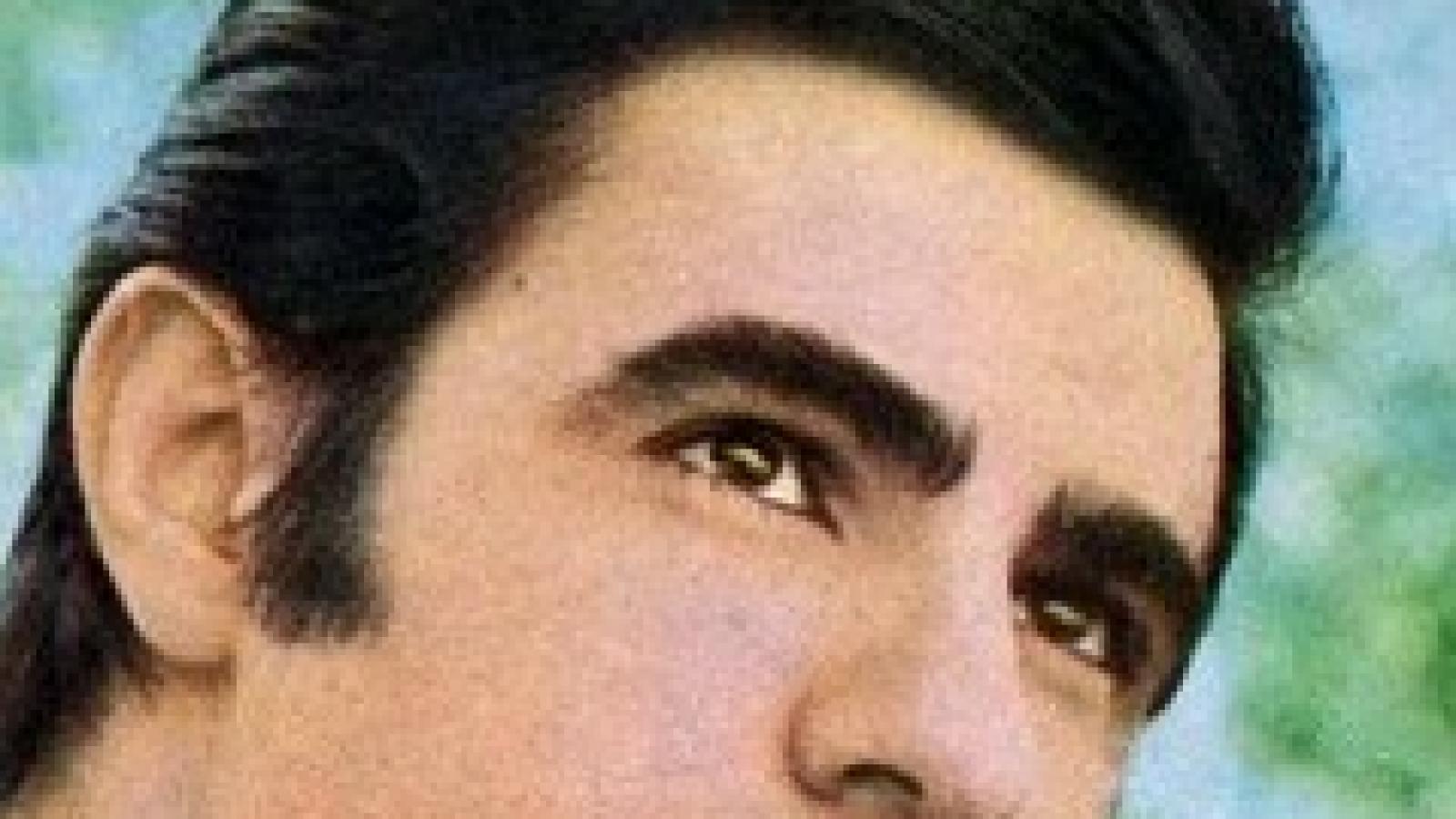 دانلود آهنگ عارف دریاچه نور / بی تو از این زندگانی قلبم آزرده گشته