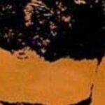دانلود آهنگ فریدون فروغی شاید / آی شیاد میخوای بمونی تو