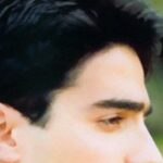 دانلود آهنگ همایون شجریان شوق دوست / جمال در نظر و شوق همچنان باقی ست