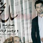 دانلود آهنگ ایرج خواجه امیری سال خوش {من حال خوشم رو از تو دارم این سال خوشم رو از تو دارم}