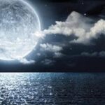 دانلود آهنگ لیلا فروهر امشب شب مهتابه / امشب شب مهتابه حبیبم رو میخوام حبیبم اگر خوابه طبیبم رو میخوام
