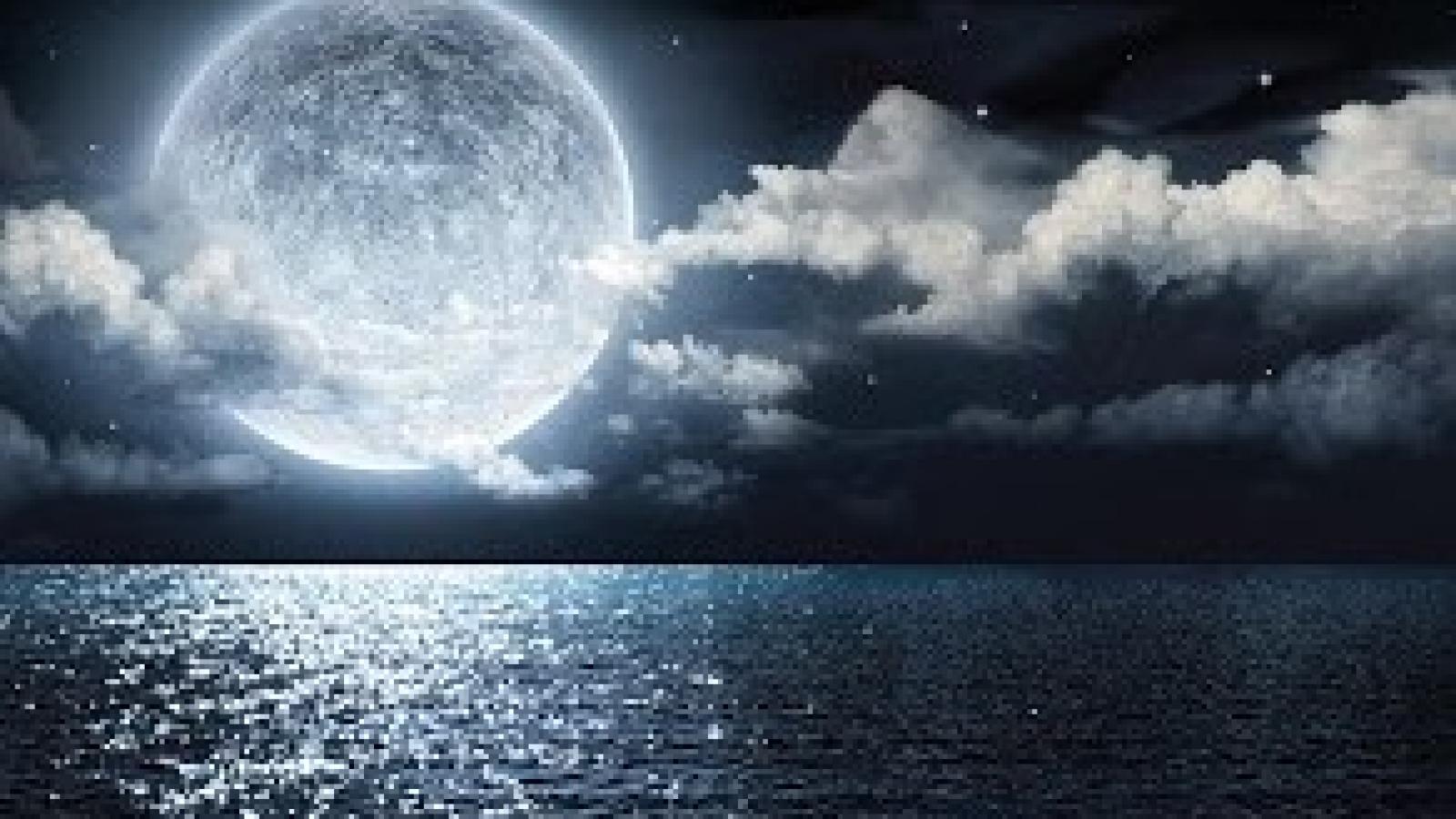 دانلود آهنگ لیلا فروهر امشب شب مهتابه / امشب شب مهتابه حبیبم رو میخوام حبیبم اگر خوابه طبیبم رو میخوام