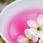 دانلود آهنگ مهستی نگاتو بردار ازم حرفی نمونده دیگه ( هوش مصنوعی )