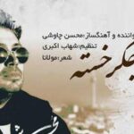 دانلود آهنگ محسن چاوشی صید جگر خسته / یک لحظه و یک ساعت دست از تو نمیدارم ….