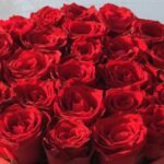 دانلود آهنگ سوگند بمب / چی شدکه من به اینجا رسیدم کی این ابرارو دورم کشیدم
