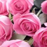 دانلود آهنگ هنگامه نفس / دلتنگ تو میشیم وای چه غمه خوبی