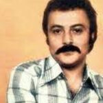 دانلود آهنگ شاهرخ حظ کردم / میونِ بغض و لبخندم میونِ خواب و بیداری